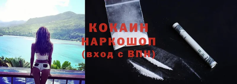 закладка  Ардатов  маркетплейс как зайти  Cocaine VHQ 