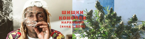 хмурый Осинники