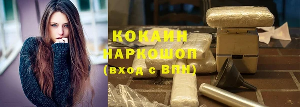 хмурый Осинники