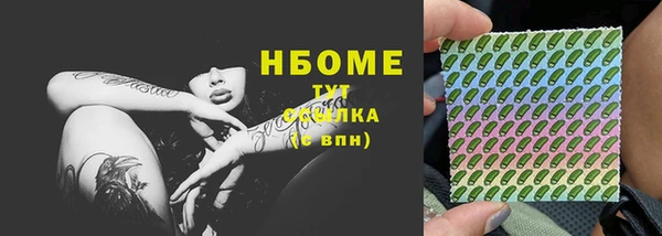 хмурый Осинники