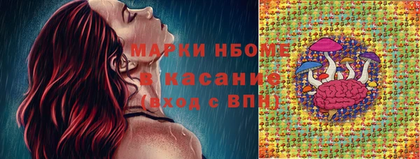 хмурый Осинники